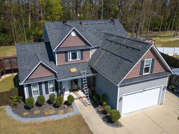 Best Roof Moss and Algae Removal  in Scenic Oaks, TX